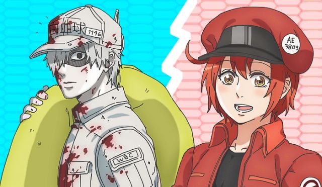 Hataraku Saibou: Anime baseado no nosso sistema imunológico