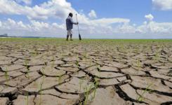 Estudo avalia impactos da expans�o agr�cola para a �gua na Amaz�nia