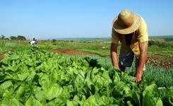 O primeiro encontro do Ciclo de Debates abordar a reforma agrria na contemporaneidade e o papel das universidades e dos movimentos sociais