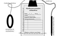 Detalhe da publicao da primeira patente da Unemat, inventada pelo professor Eduardo Bessa, na Revista de Propriedade Intelectual