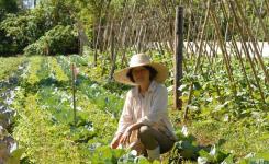 O objetivo da oficina  estruturar uma agenda de aes focada na elaborao do Plano de Desenvolvimento da Agricultura Familiar no Estado