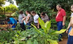 Pesquisadores conversam com pessoas envolvidas na cadeia produtiva da castanha