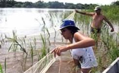 Professor Claumir e alunos durante atividade de pesquisa no Rio Paraguai