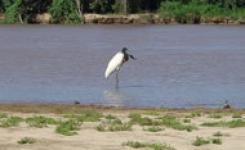 Mestrado da Unemat tem linhas de pesquisa em Gesto e Educao Ambiental