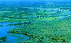 O Pantanal  um dos biomas enfocados pelo Projeto
