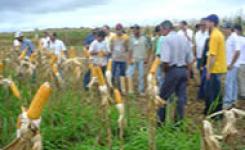 Comunidade acadmica e produtores rurais em visita aos projetos