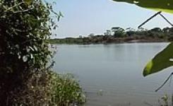 rea localizada na Baia do Malheiros no Rio Paraguai
