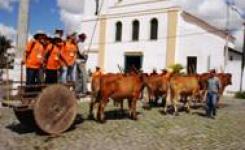 Rondonistas da Unemat so recebidos em Tomar do Geru 