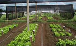 Foto : arquivo do  projeto 