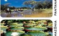 O projeto desenvolvido nos polos: Amaznia, Cerrado, Araguaia e Pantanal