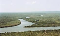 O evento discute a conservao das nascentes do Rio Xingu